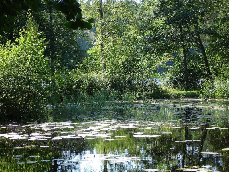 Hotelli Nuuksio Espoo Kültér fotó